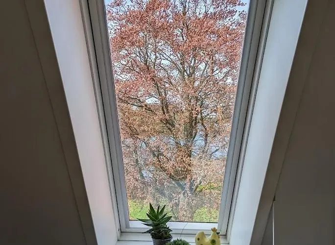 Gaestehus So *